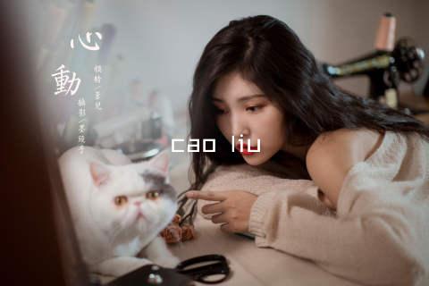 cao liu